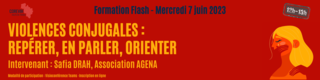 Violences conjugales COREVIH