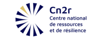 Cn2r_Logotype_Version-Couleurs-Kintsugi_variante-2